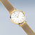 Bering - Classic