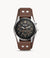 Fossil Coachman
