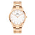 Daniel Wellington - Iconic Link 28-40mm