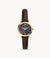 Fossil Carlie