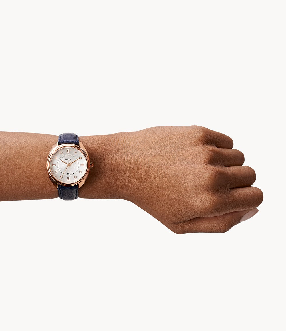 Fossil Gabby