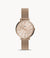 Fossil Jacqueline