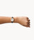 Fossil Carlie